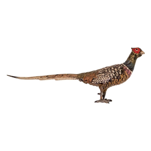 60 - An Austrian cold bronze painted pheasant. Impressed Austria to the base, length 22cm, together with ... 