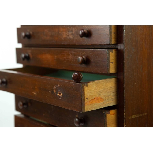 67 - A mahogany collector's cabinet with seven drawers. Height 56cm, width 44.5cm, depth 26cm.