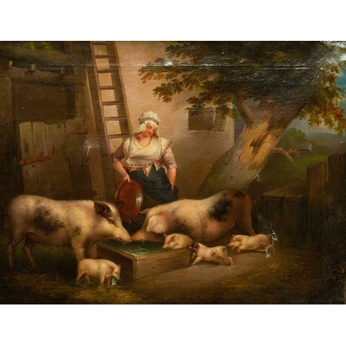 Lot 1009      