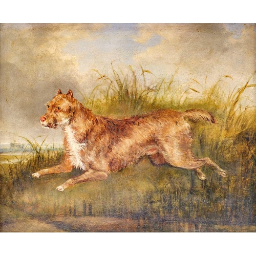 Lot 1042      
