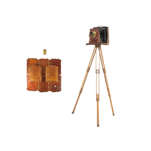 152 - UnNamed plate camera with tripod and eight mahogany plates Together with a brass Watkins Exposure Me... 