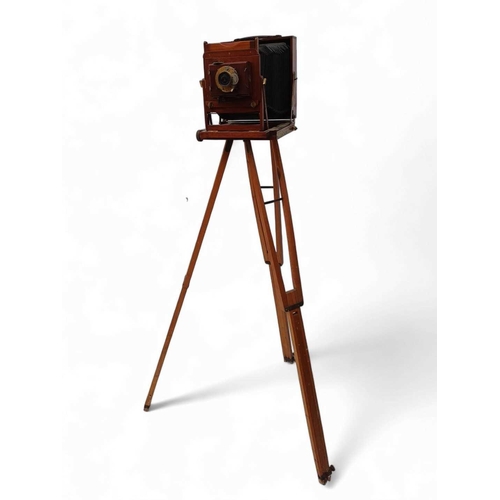 48 - Thornton Picard plate camera and tripod.