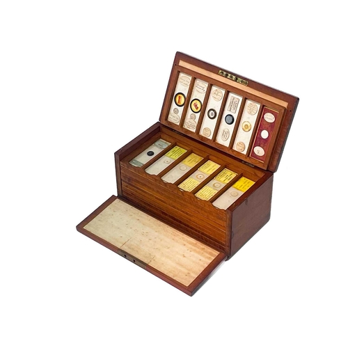 70 - Two Victorian mahogany cases of microscope slides. The flush boxes, with hinged lids and fronts, con... 