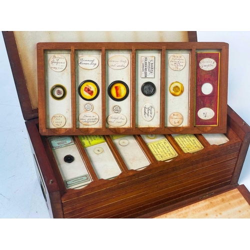 70 - Two Victorian mahogany cases of microscope slides. The flush boxes, with hinged lids and fronts, con... 