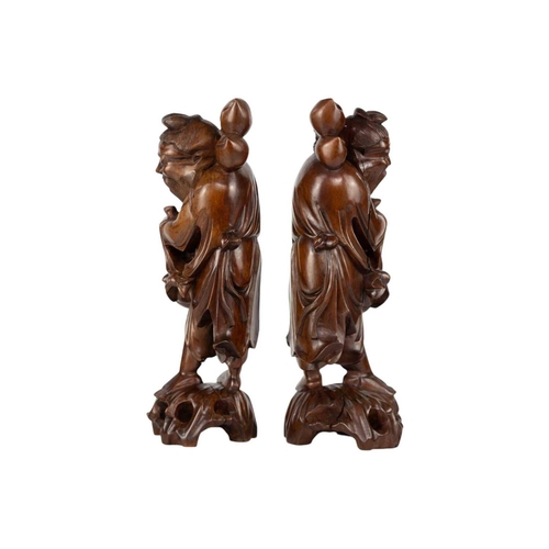 117 - A pair of Chinese carved hardwood figures, circa 1900. Height 40cm, width 15cm. (2)