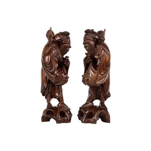 117 - A pair of Chinese carved hardwood figures, circa 1900. Height 40cm, width 15cm. (2)