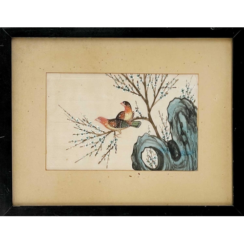 297 - Three Chinese pith paper paintings, late Qing Dynasty. Frame size 29 x 22cm. (3)