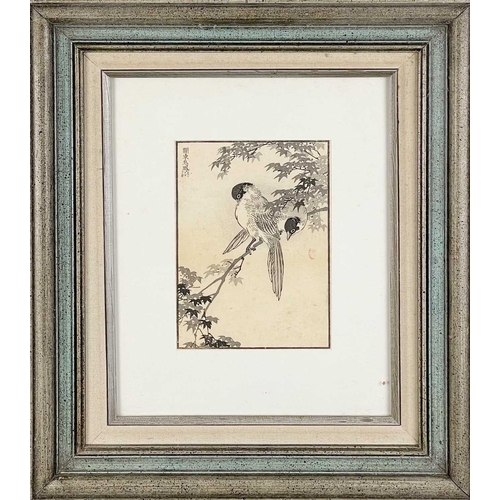 344 - Kono Bairei. (1844-1895) Japanese woodcut. Magpies on a maple branch, 1881, frame 50 x 42.5cm, image... 