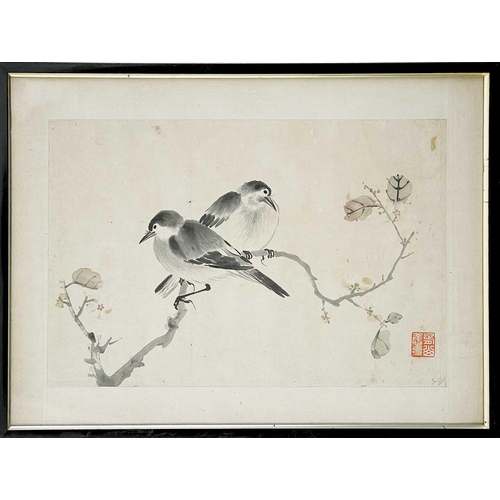 45 - Two Chinese paintings of birds, 19th century. Each with a single red seal, frame 34.5 x 49cm. (2)