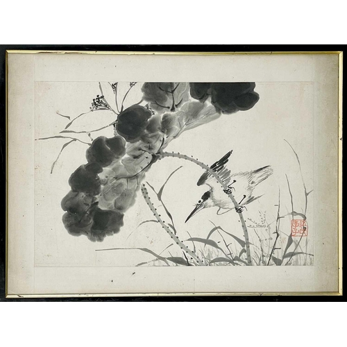 45 - Two Chinese paintings of birds, 19th century. Each with a single red seal, frame 34.5 x 49cm. (2)