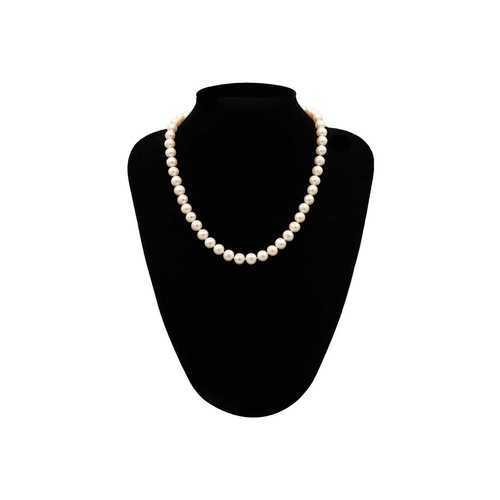 57 - A cultured pearl necklace with 9ct ball clasp. The 51 slightly graduated white pearls of 8.1 x 8.9mm... 