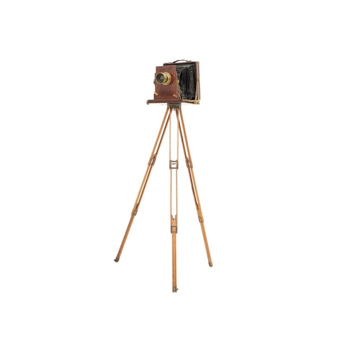 152 - UnNamed plate camera with tripod and eight mahogany plates Together with a brass Watkins Exposure Me... 