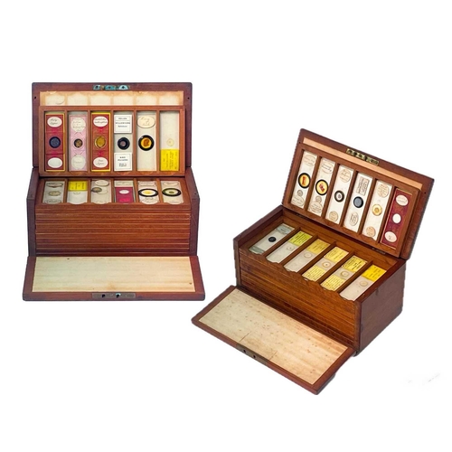 70 - Two Victorian mahogany cases of microscope slides. The flush boxes, with hinged lids and fronts, con... 