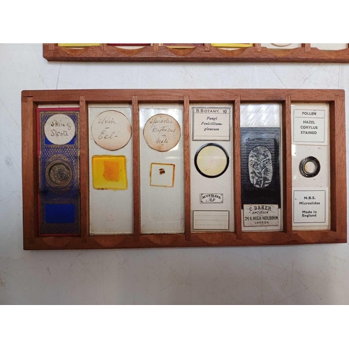 70 - Two Victorian mahogany cases of microscope slides. The flush boxes, with hinged lids and fronts, con... 