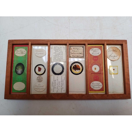 70 - Two Victorian mahogany cases of microscope slides. The flush boxes, with hinged lids and fronts, con... 