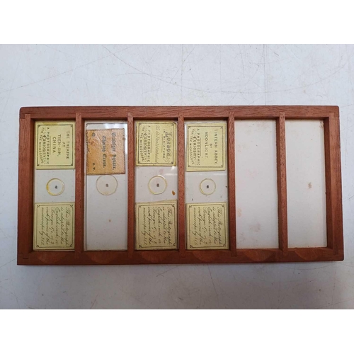 70 - Two Victorian mahogany cases of microscope slides. The flush boxes, with hinged lids and fronts, con... 