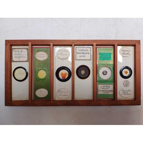 70 - Two Victorian mahogany cases of microscope slides. The flush boxes, with hinged lids and fronts, con... 