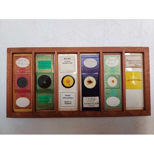 70 - Two Victorian mahogany cases of microscope slides. The flush boxes, with hinged lids and fronts, con... 