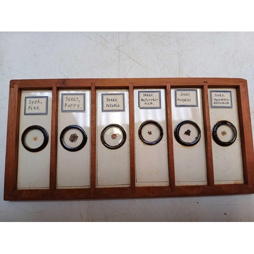 70 - Two Victorian mahogany cases of microscope slides. The flush boxes, with hinged lids and fronts, con... 