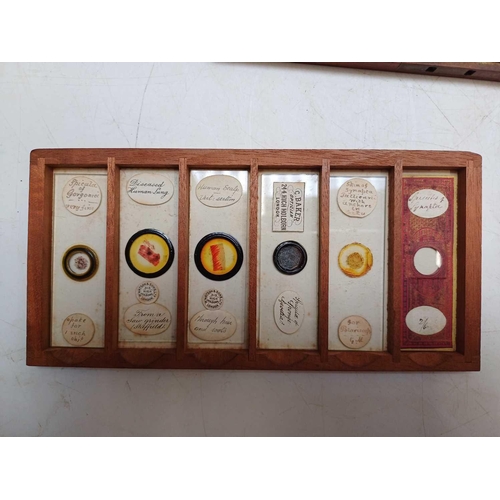 70 - Two Victorian mahogany cases of microscope slides. The flush boxes, with hinged lids and fronts, con... 