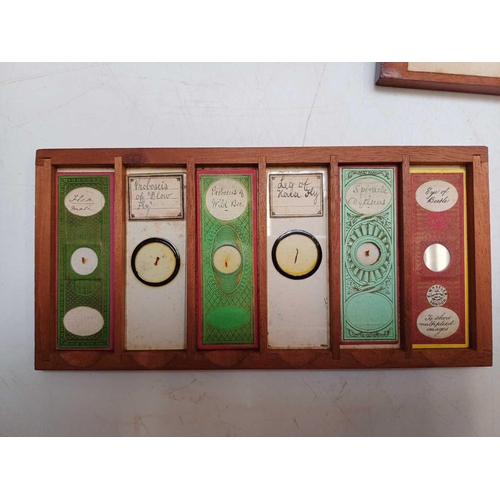 70 - Two Victorian mahogany cases of microscope slides. The flush boxes, with hinged lids and fronts, con... 