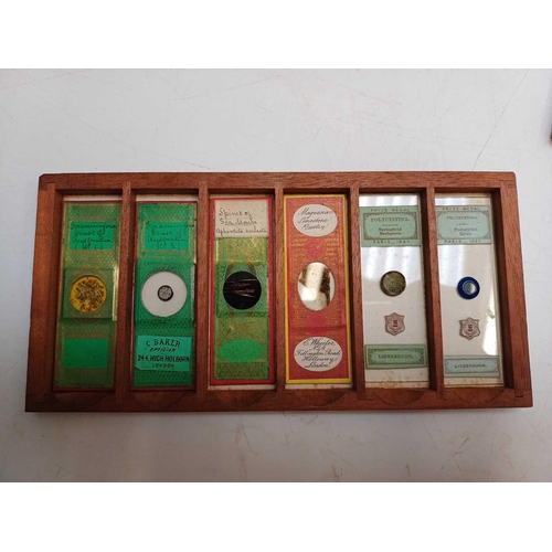 70 - Two Victorian mahogany cases of microscope slides. The flush boxes, with hinged lids and fronts, con... 