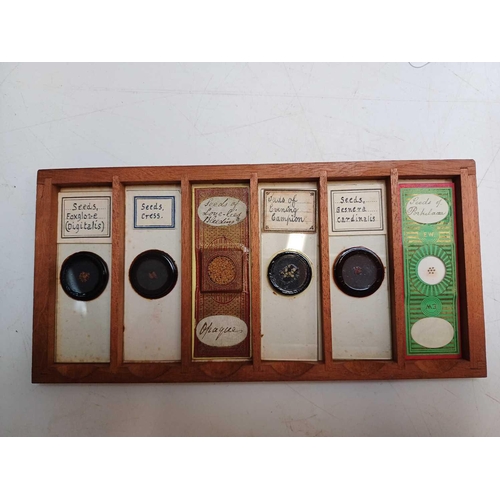 70 - Two Victorian mahogany cases of microscope slides. The flush boxes, with hinged lids and fronts, con... 