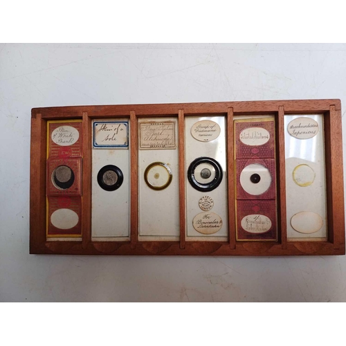 70 - Two Victorian mahogany cases of microscope slides. The flush boxes, with hinged lids and fronts, con... 