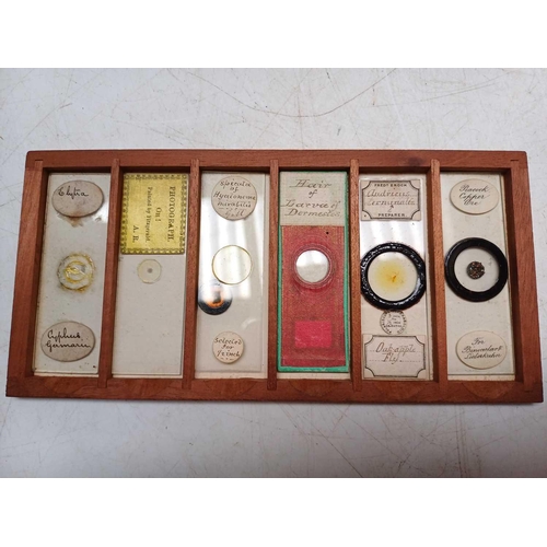 70 - Two Victorian mahogany cases of microscope slides. The flush boxes, with hinged lids and fronts, con... 