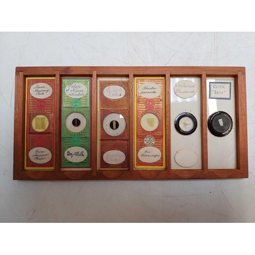 70 - Two Victorian mahogany cases of microscope slides. The flush boxes, with hinged lids and fronts, con... 