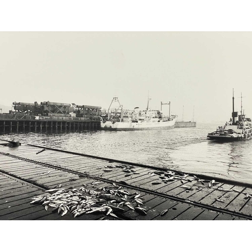 183 - Shipwreck Photographs Fowey, Looe, St Loy &c. &c. Three views of the 'South America', wrecked at St ... 