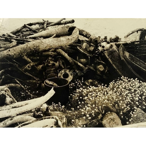 199 - Shipwreck Photographs Wreck Artefacts Mary Rose being raised by crane, inscription and signed Richar... 