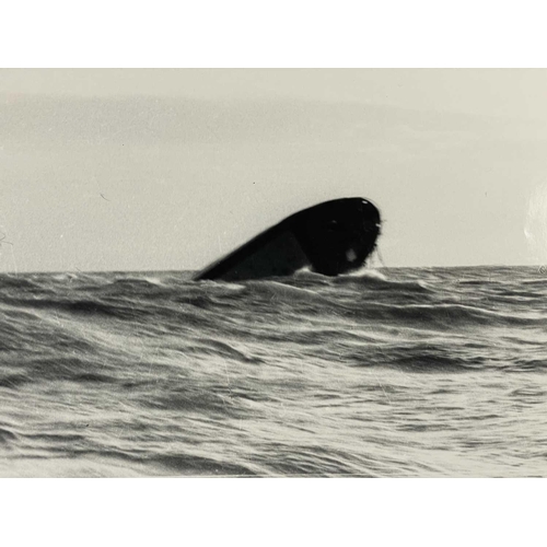 204 - Shipwreck Photographs Around Britain, mostly the East Coast Photographs include five M.V. Sea Rhine,... 