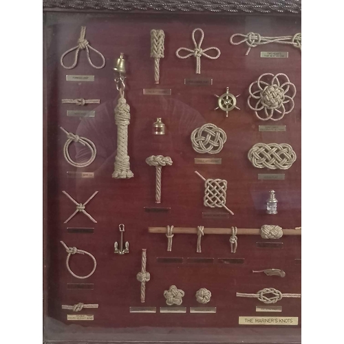 1138 - Knot Board Displaying thirty-nine knots Each knot with brass name plaque, together with miniature ma... 