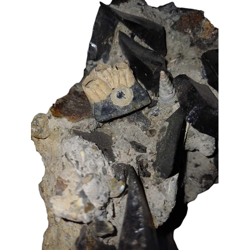 526 - Earl of Abergavenny wrecked off Weymouth, Dorset, 1805 A cluster of gun flints. Probably cargo, conc... 