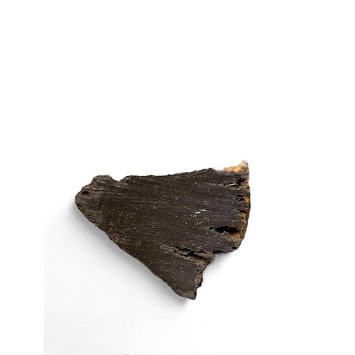 726 - The Mary Rose, wrecked 1545 A fragment of ship's timber from the Mary Rose Mounted on a brass and wo... 