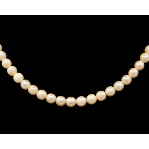 108 - Two cultured pearl necklaces with 9ct fittings and a pair of black pearl 14ct mounted studs. The lar... 