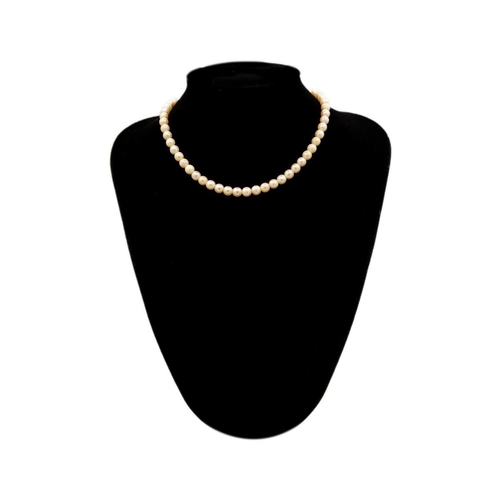 108 - Two cultured pearl necklaces with 9ct fittings and a pair of black pearl 14ct mounted studs. The lar... 