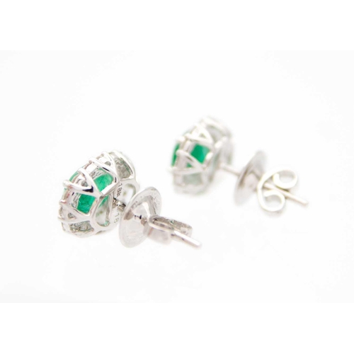 142 - A good pair of 18ct oval emerald and diamond set halo stud earrings. The emeralds each of 1.00ct app... 