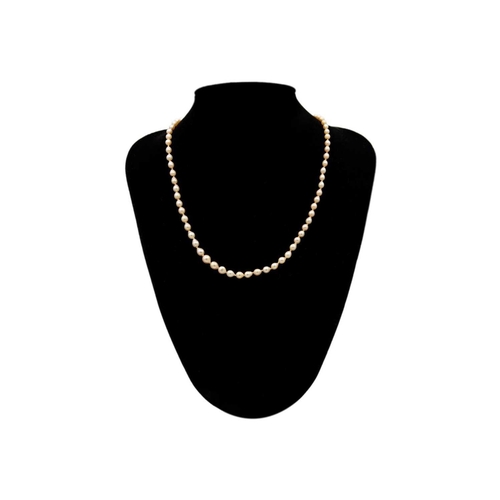 201 - A graduated cultured cream pearl necklace with gold diamond set clasp. The slight pear shaped pearls... 