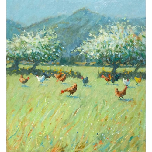 213 - Robert JONES (1943) May Blossom & Chickens Oil on board, signed with initials, further signed and in... 