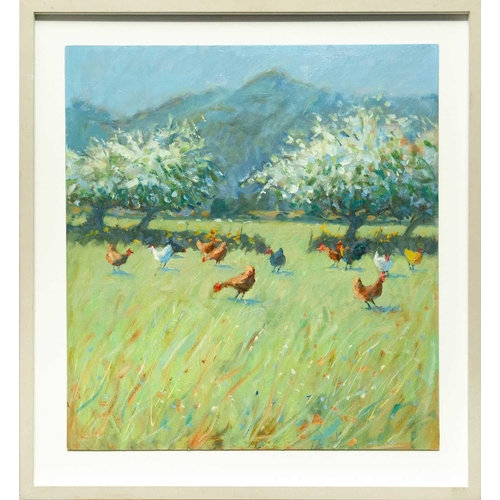 213 - Robert JONES (1943) May Blossom & Chickens Oil on board, signed with initials, further signed and in... 