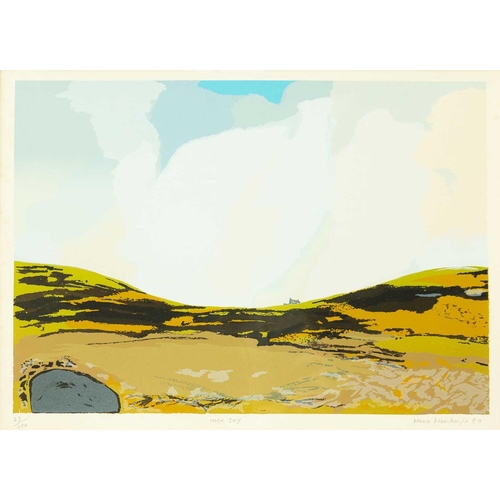 347 - Margo Maeckelberghe, Patrick Hughes, Roy Walker and Roy Conn Four framed screenprints from the portf... 