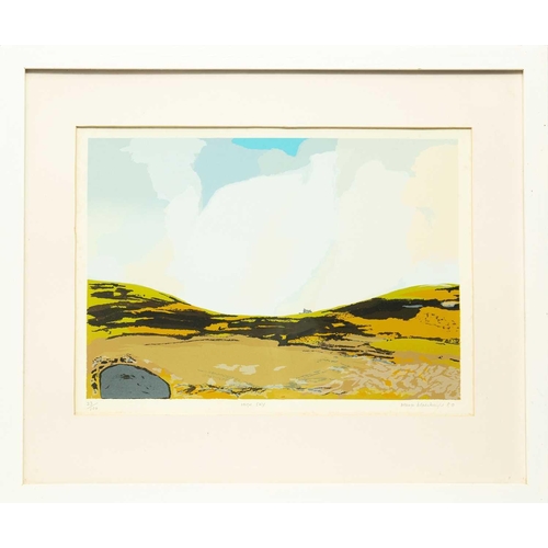 347 - Margo Maeckelberghe, Patrick Hughes, Roy Walker and Roy Conn Four framed screenprints from the portf... 