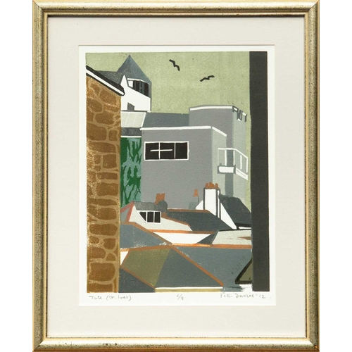 463 - Peter DAVIES (1953) Tate (St. Ives) Linocut, signed, inscribed and dated '12, numbered 6/8, image si... 