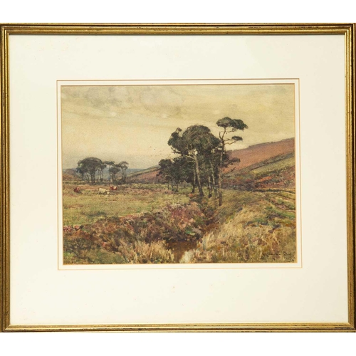 49 - Samuel John Lamorna BIRCH (1869-1955) Cattle Grazing Watercolour, signed and dated 1905, 26 x 33cm, ... 