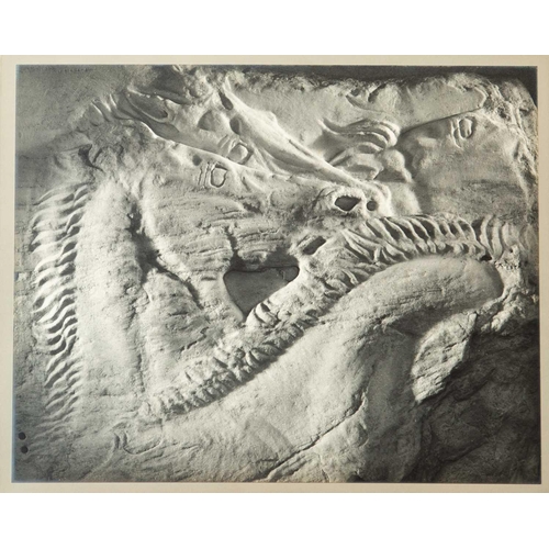 495 - Frederick Leslie KENETT (1924-2012) Griffin Four albumen prints of sculpture mounted on board, each ... 