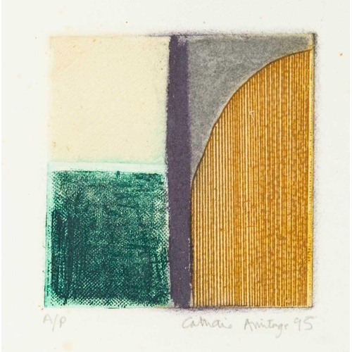 1006 - Catherine ARMITAGE (1944-2020) Untitled, Artist's Proof, screenprint, signed in pencil and dated '95... 