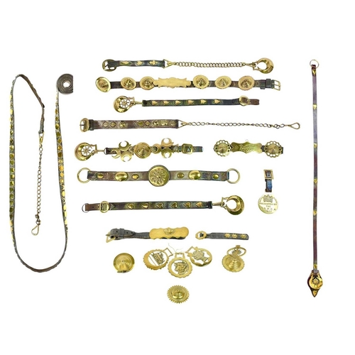 101 - A collection of horse brasses, martingales, and other fittings. Including a 1927 RSPCA merit badge, ... 