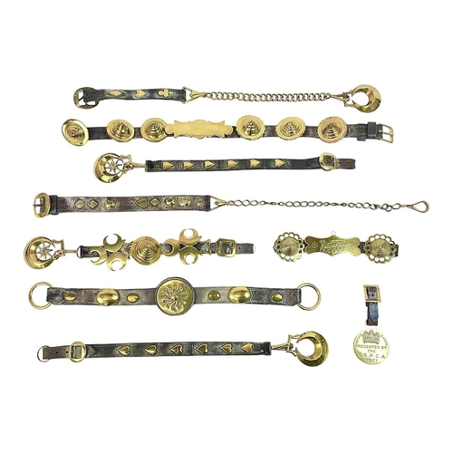 101 - A collection of horse brasses, martingales, and other fittings. Including a 1927 RSPCA merit badge, ... 